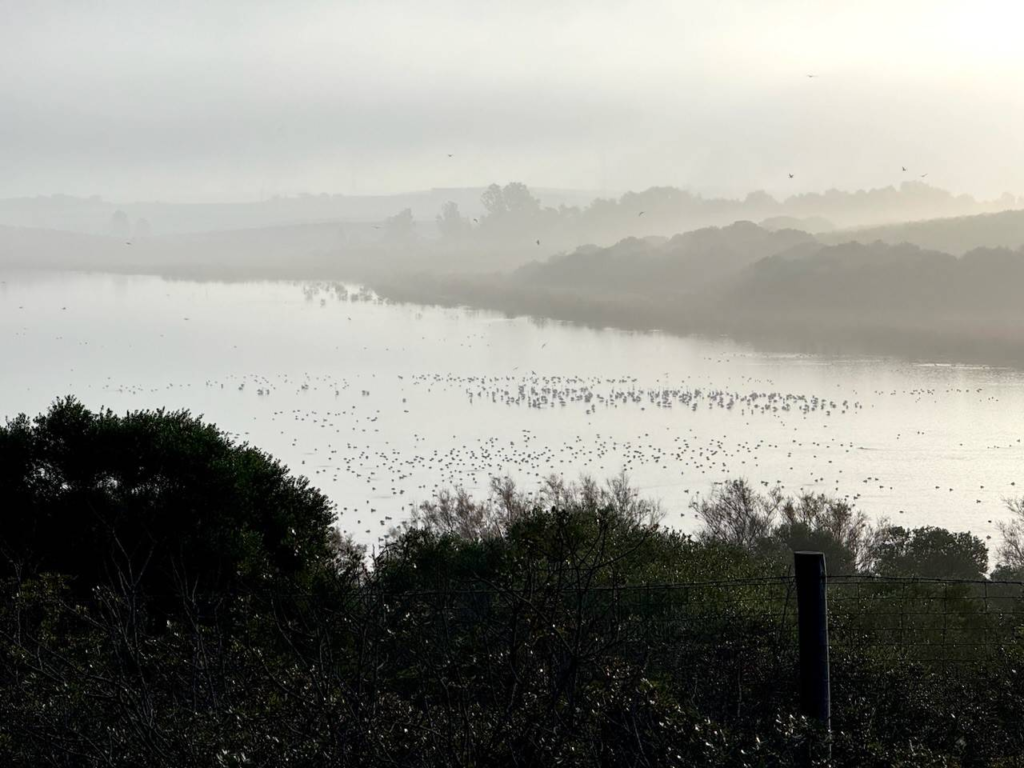 View of Laguna de Medina, Spain